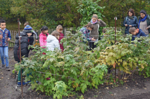 Kinder und Erwachsene entdecken gemeinsam einen Gemüsegarten